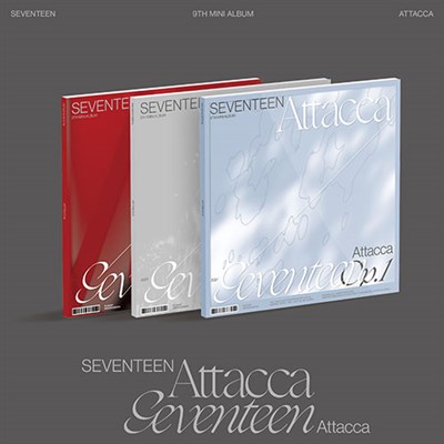 Seventeen - Attacca - фото 5613