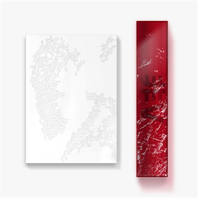 [Предзаказ] V (BTS) - TYPE 非 (PHOTOBOOK) [Weverse] 3393