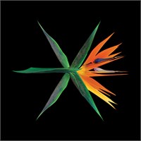 EXO - THE WAR (CHINESE VER.) (Regular) 1963