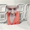 Официальные фотокарты EXO - EXIST (AppleMusic) 2954 - фото 7749
